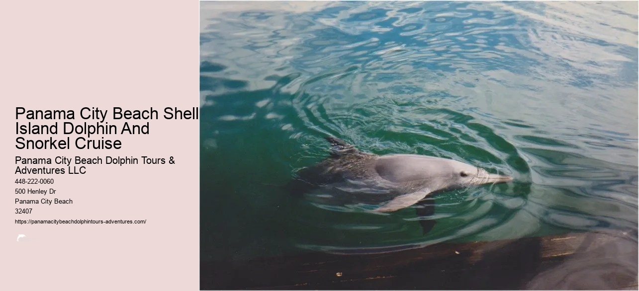 Snorkeling Panama City Beach