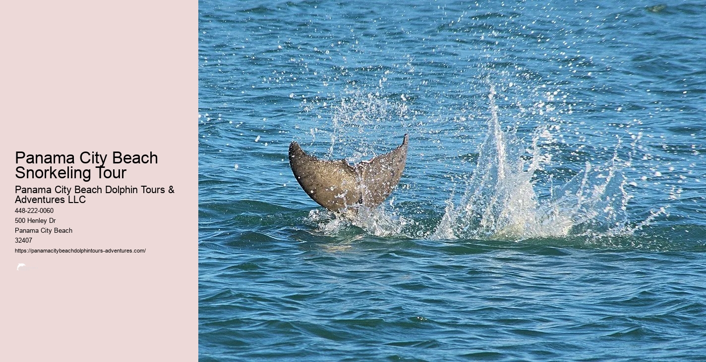 Panama City Beach Snorkeling Tour