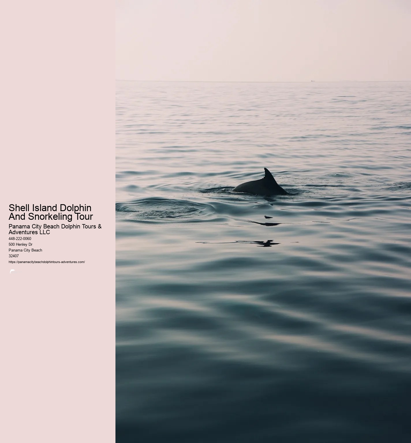 Shell Island Snorkeling Panama City Beach