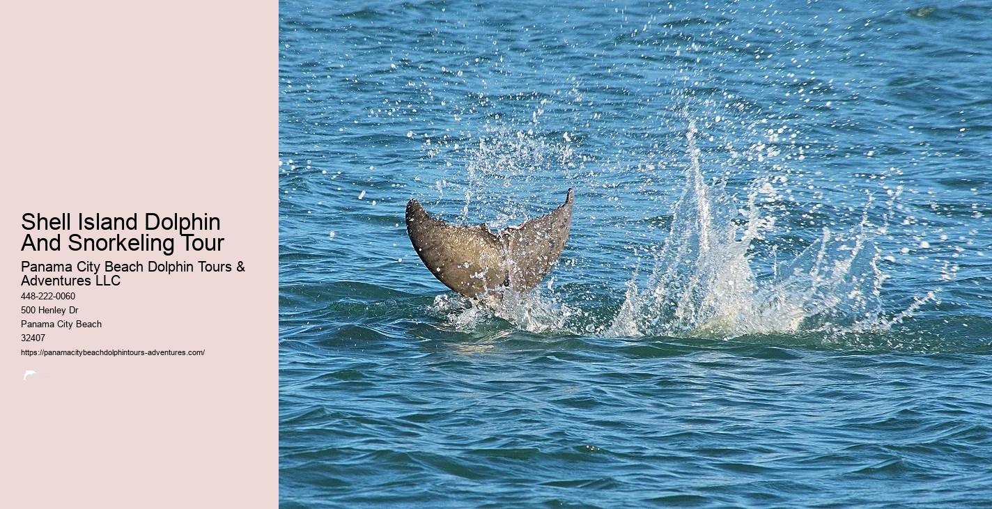 Dolphin & Snorkeling Tours Panama City Beach