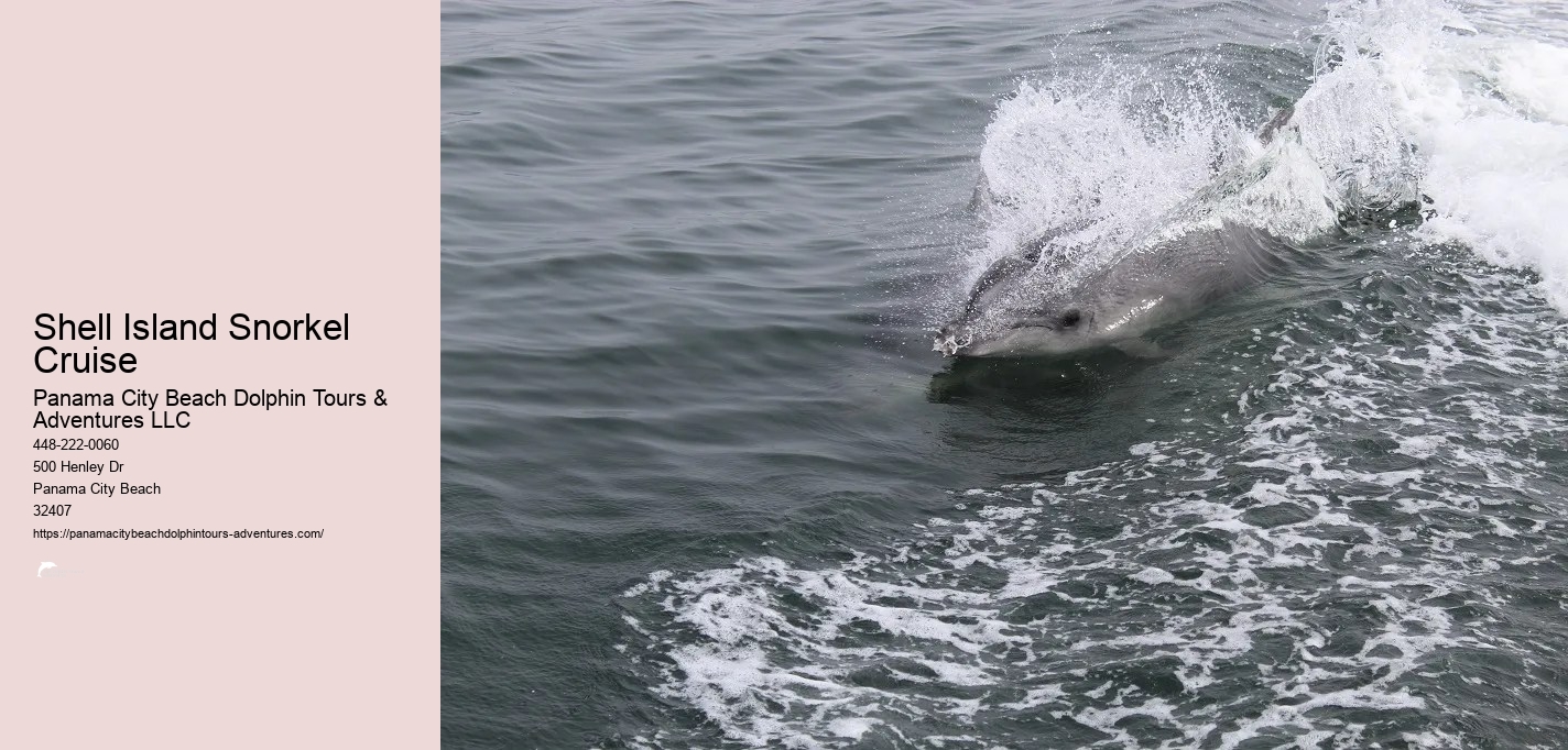 Panama City Beach Dolphin And Snorkeling Tours