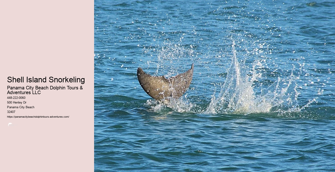 Snorkeling In Panama City Beach Florida