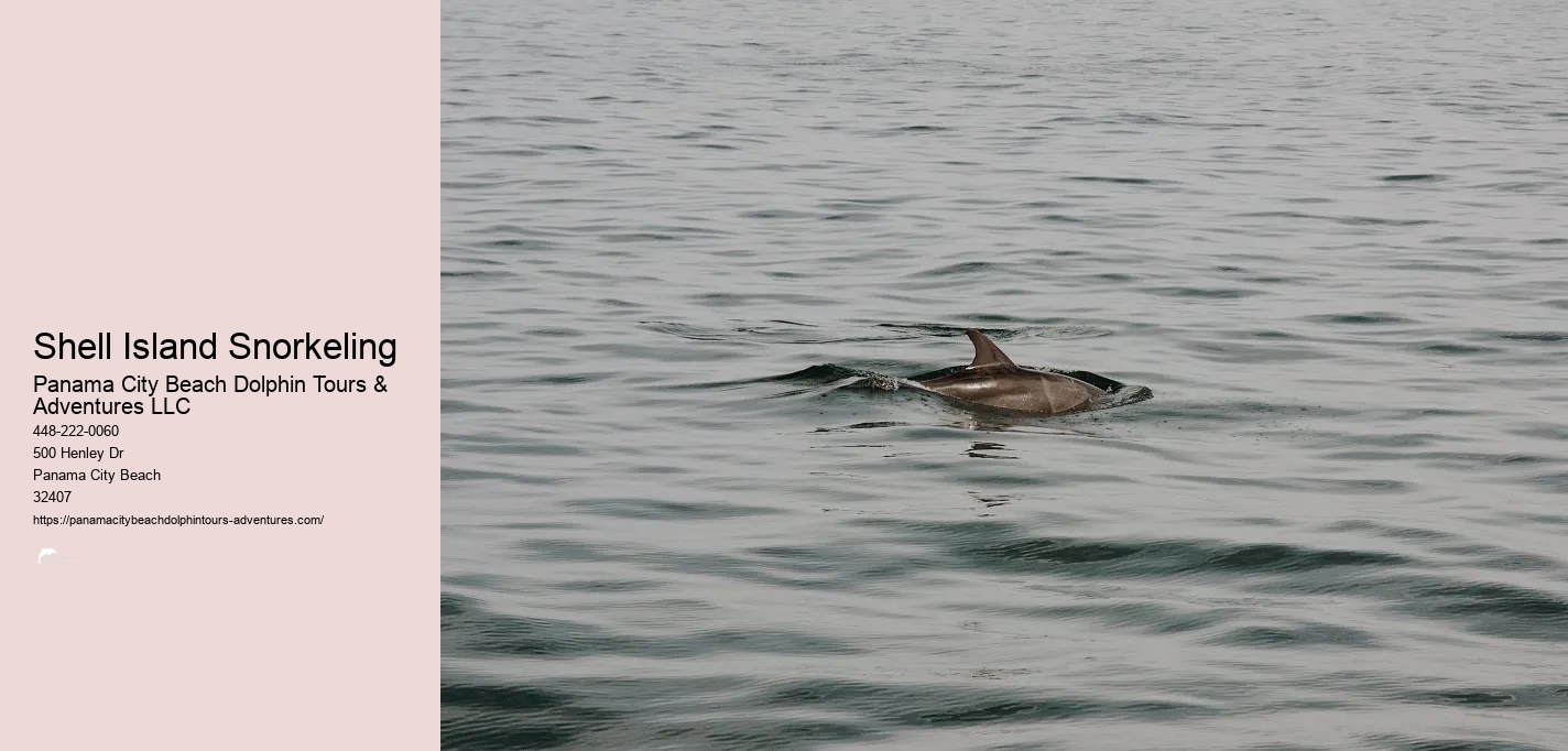 Snorkeling In Panama City Beach Florida