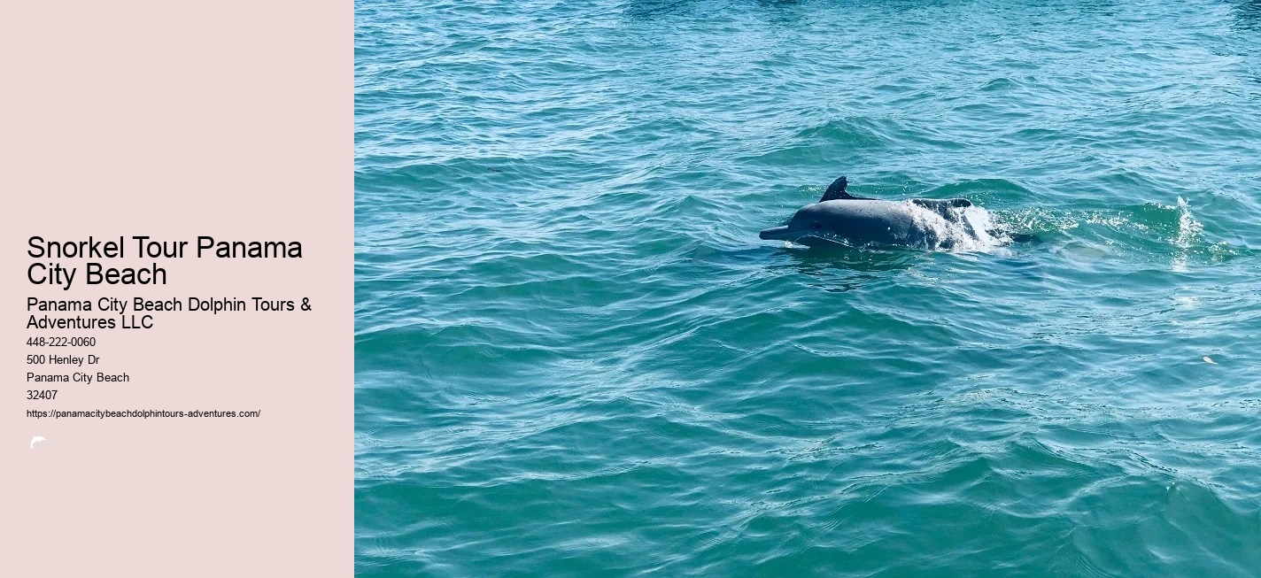 Snorkeling In Panama City Beach Florida
