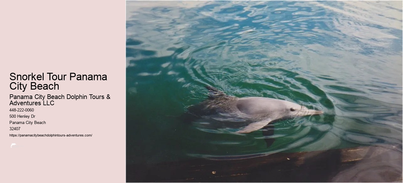 Dolphin & Snorkeling Tours Panama City Beach