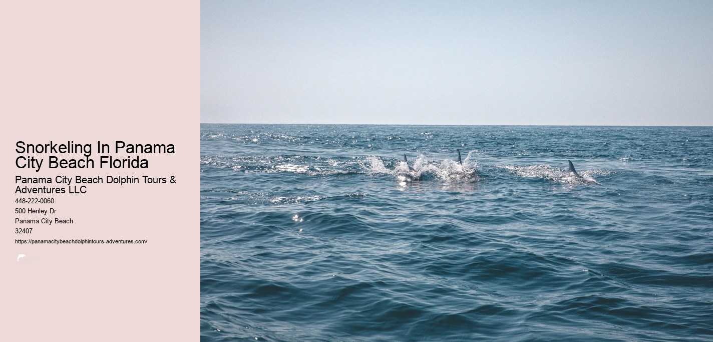 Dolphin & Snorkeling Tours Panama City Beach