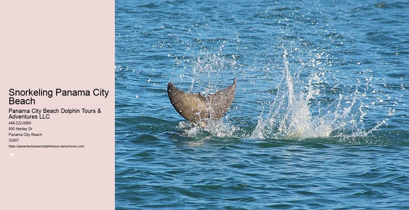 Snorkeling Panama City Beach