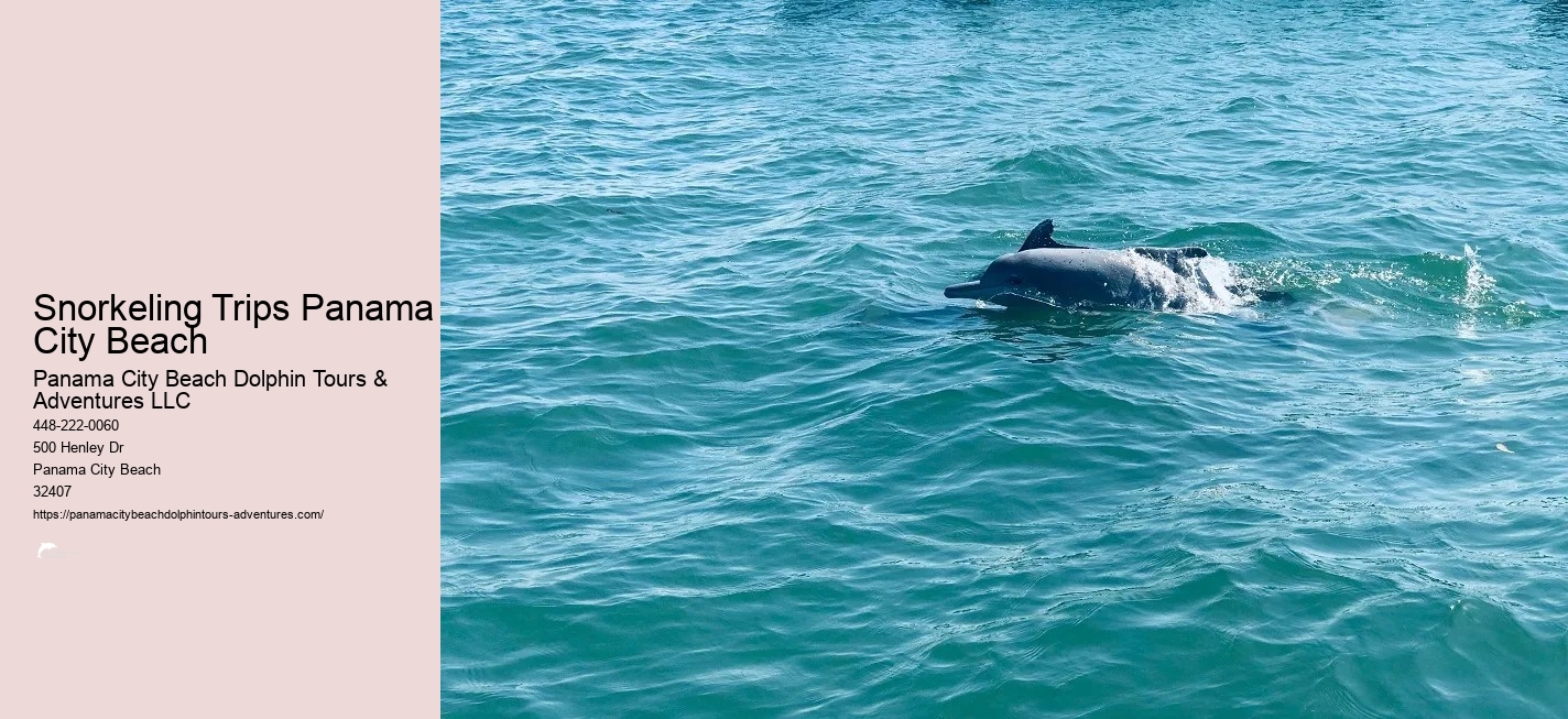 Panama City Beach Snorkeling Tours