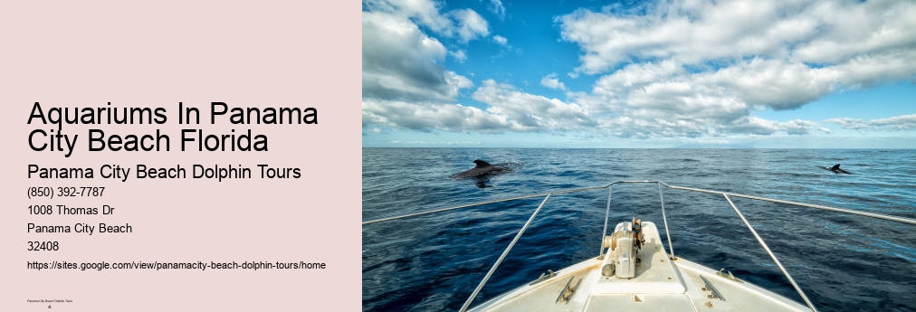 Panama City Beach Dolphin Sunset Cruise