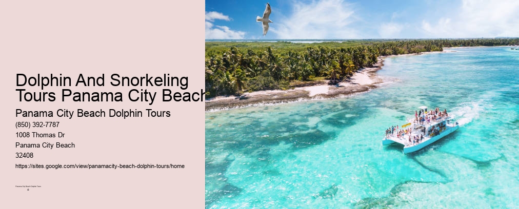 Snorkeling Panama City Beach