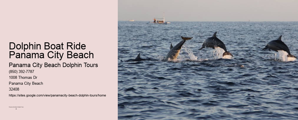 Dolphin Boat Tour Panama City Beach