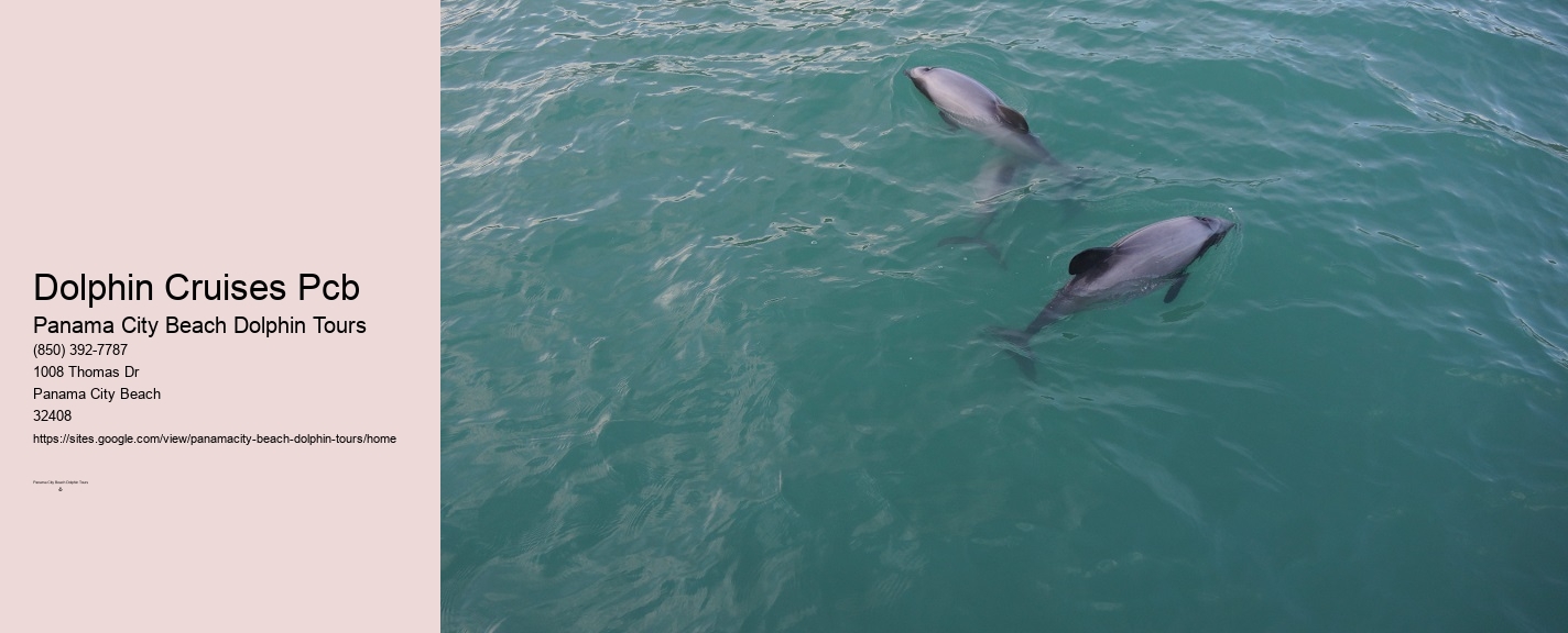 Panama City Beach Dolphins