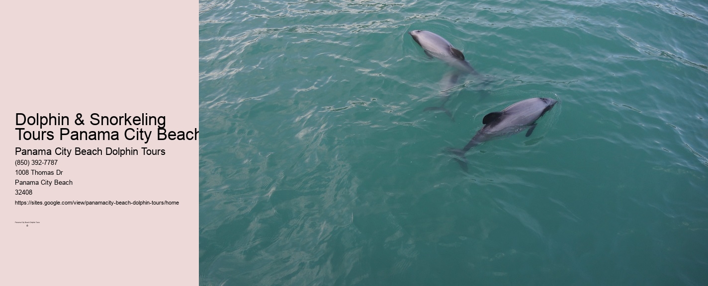 Dolphin & Snorkeling Tours Panama City Beach