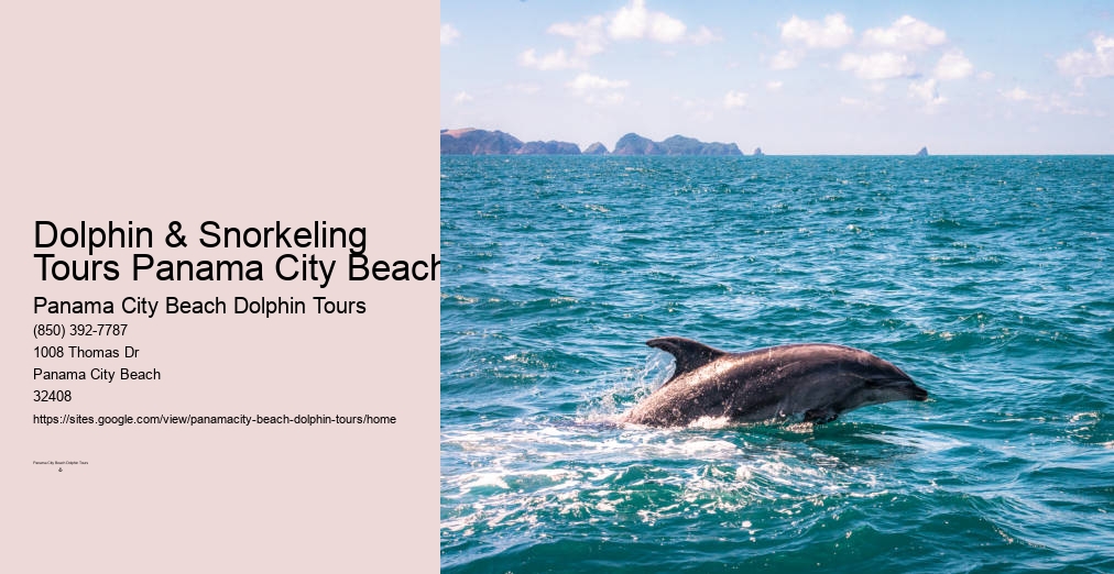 Panama City Beach Dolphin Tours