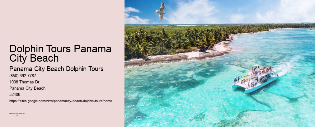 Dolphin Boat Tour Panama City Beach