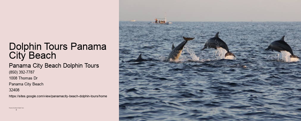 Shell Island Panama City Fl