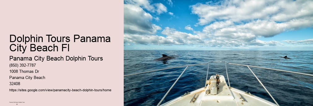 Swim With Dolphins Panama City Beach Shell Island