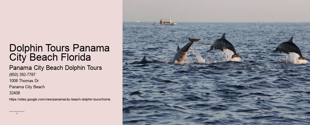 Dolphin Boat Tours Panama City Beach Fl