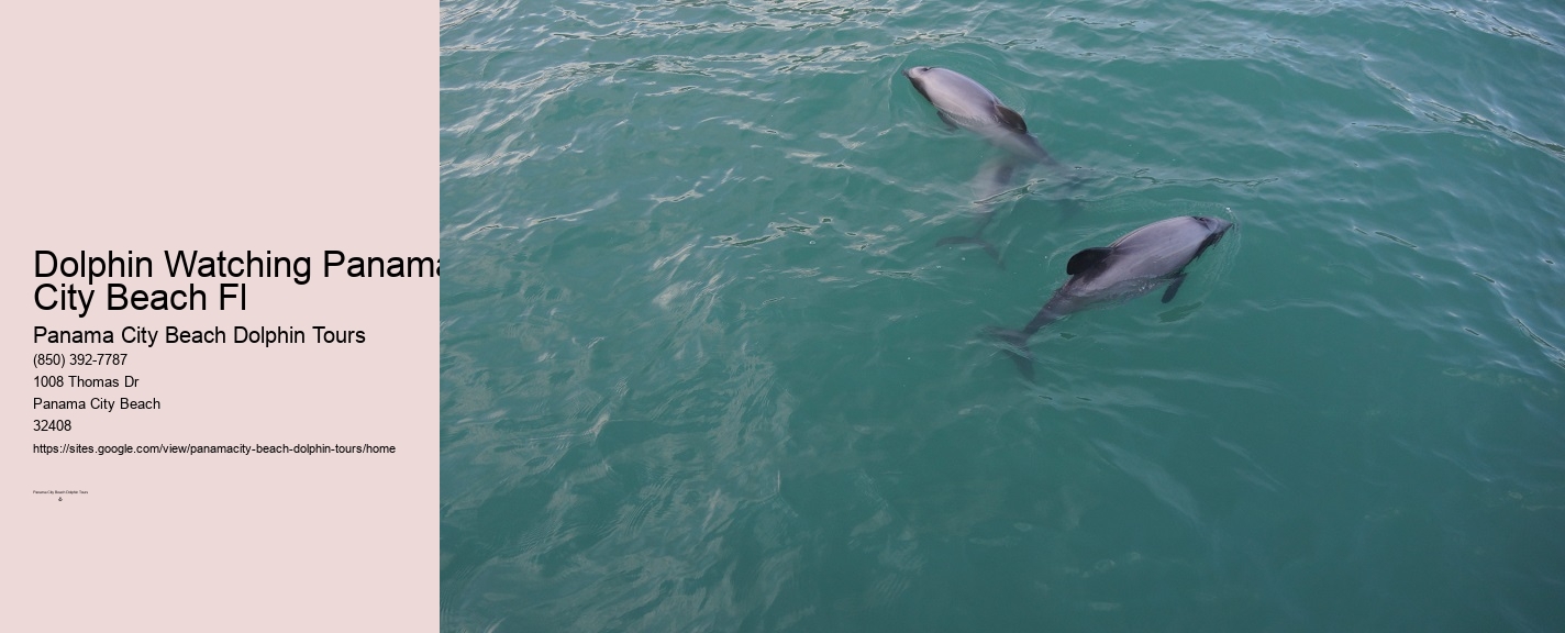 Panama City Beach Florida Dolphin Tours