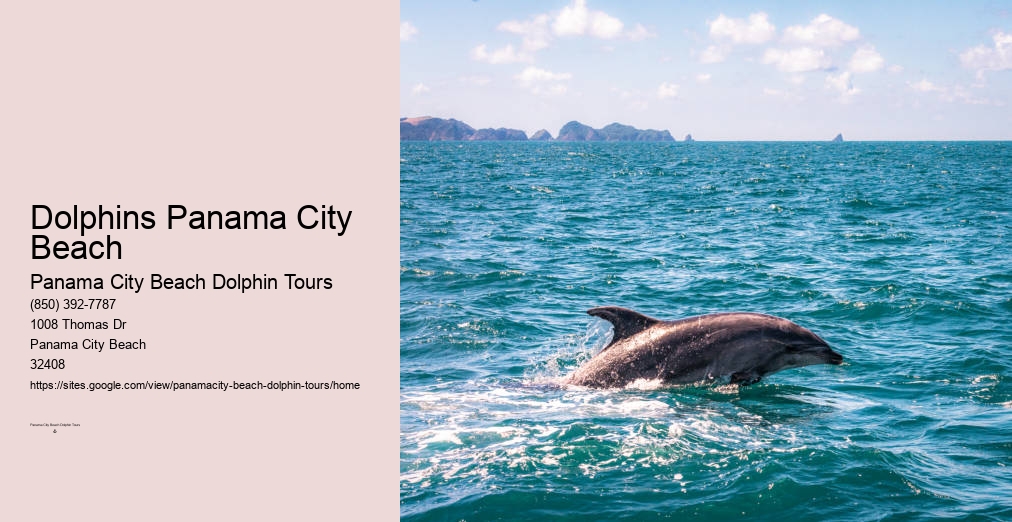 Panama City Beach Boat Tours