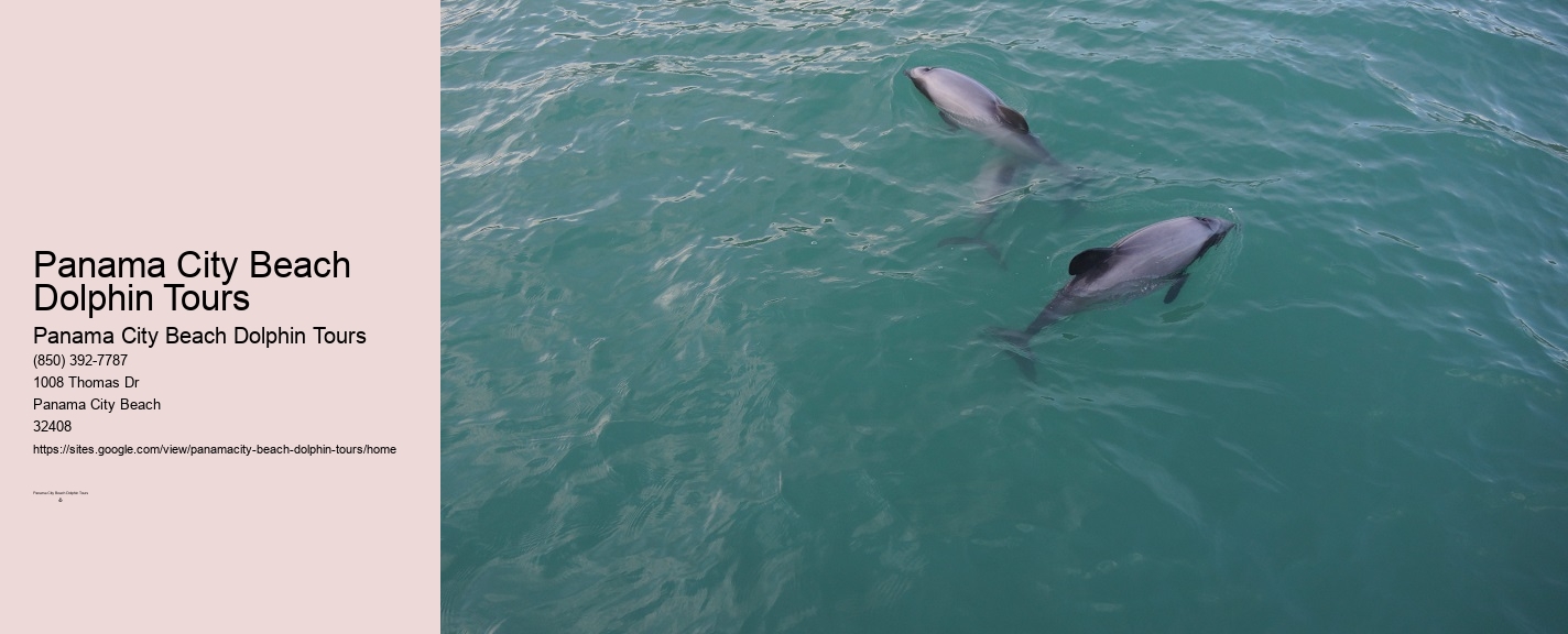 Panama City Beach Dolphin Show