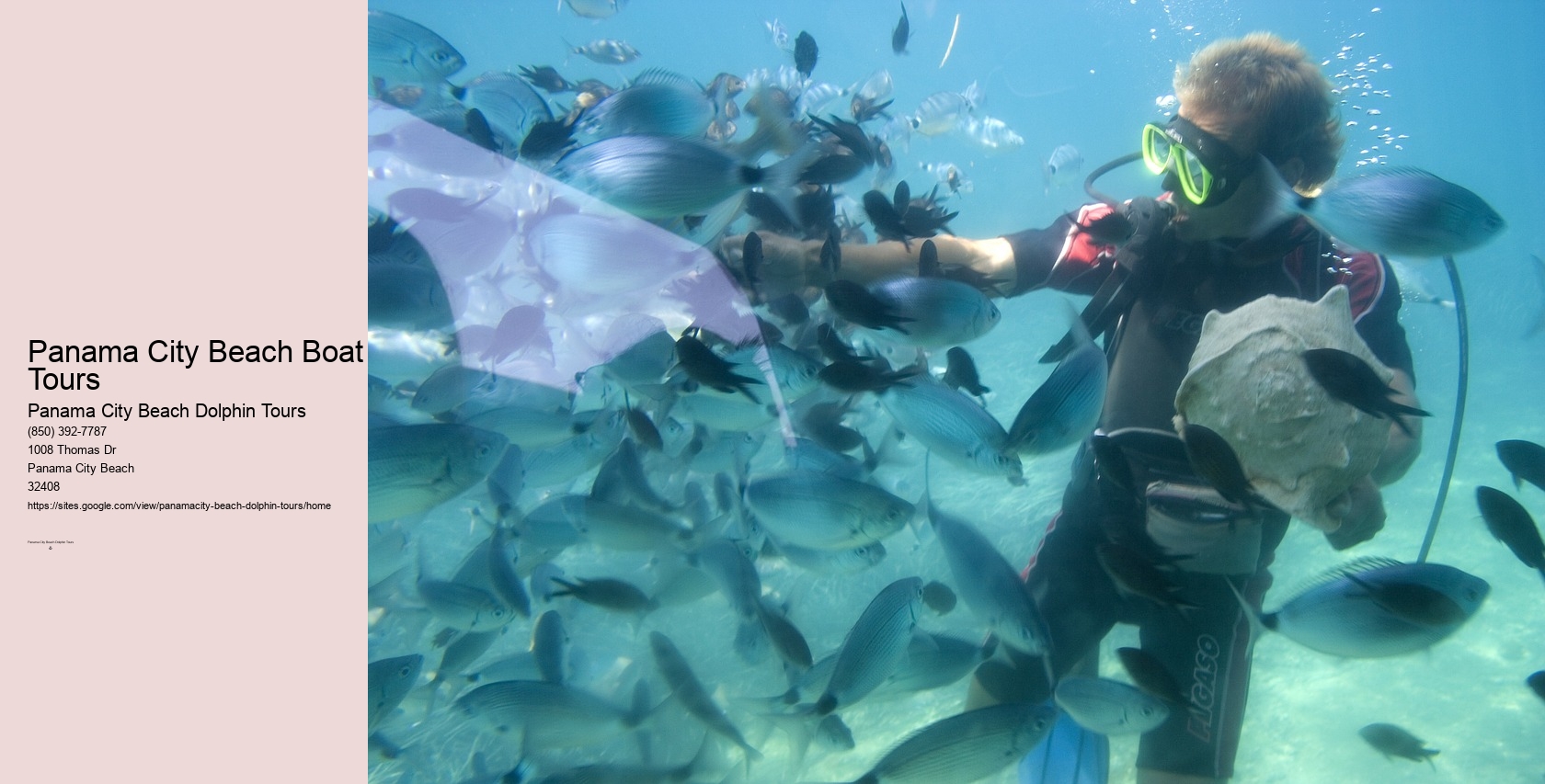 Panama City Beach Dolphin Tours & More