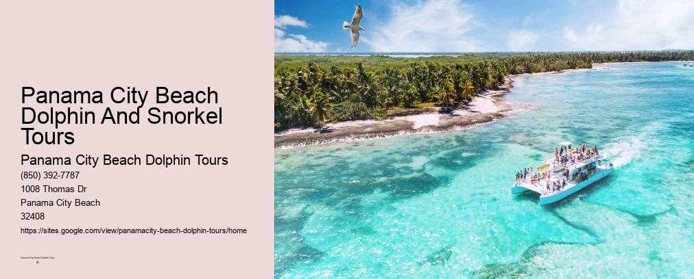 Dolphin Boat Tour Panama City Beach