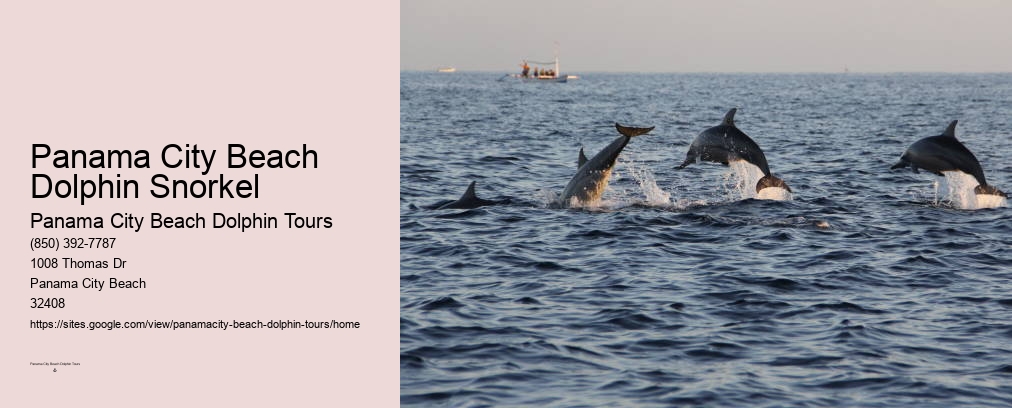 Dolphin Boat Tour Panama City Beach