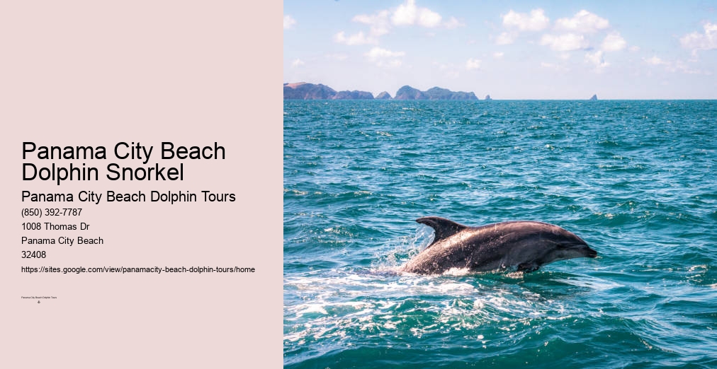 Santa Rosa Beach Dolphin Tours