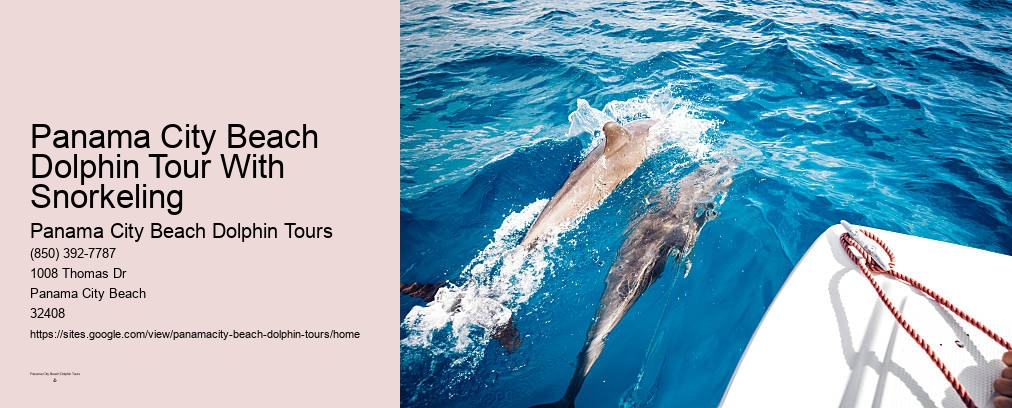 Panama City Beach Shell Island Dolphin Tour