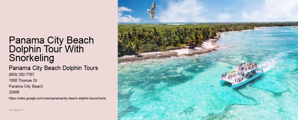 Panama City Beach Dolphin Snorkel