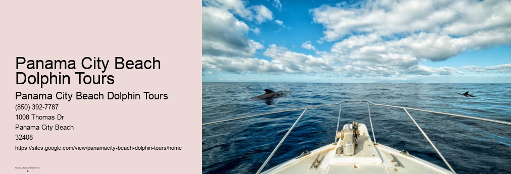 Dolphin Tours In Panama City Beach Florida