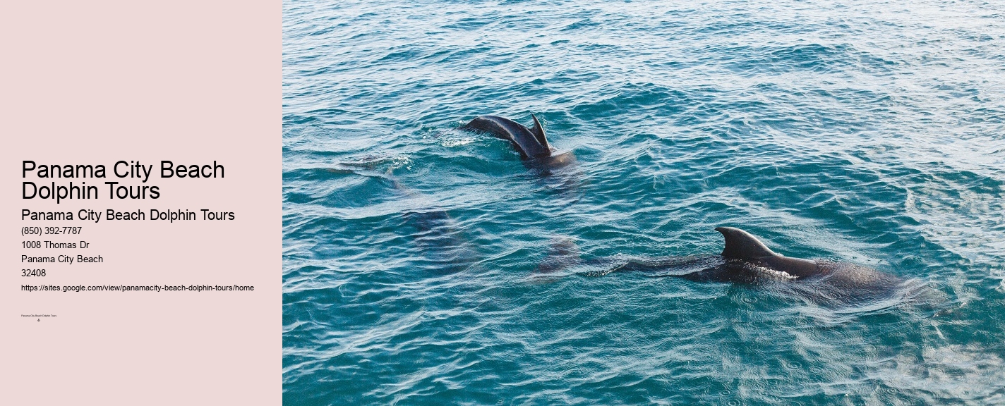 Santa Rosa Beach Dolphin Tours
