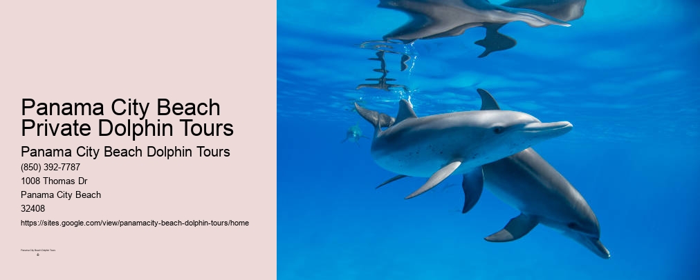 Santa Rosa Beach Dolphin Tours