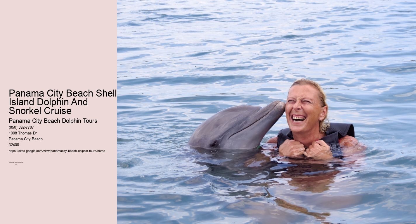 Panama City Beach Shell Island Dolphin And Snorkel Cruise