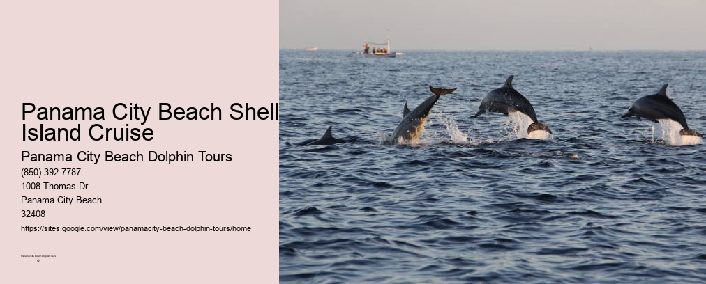 Dolphin Encounters Panama City Beach