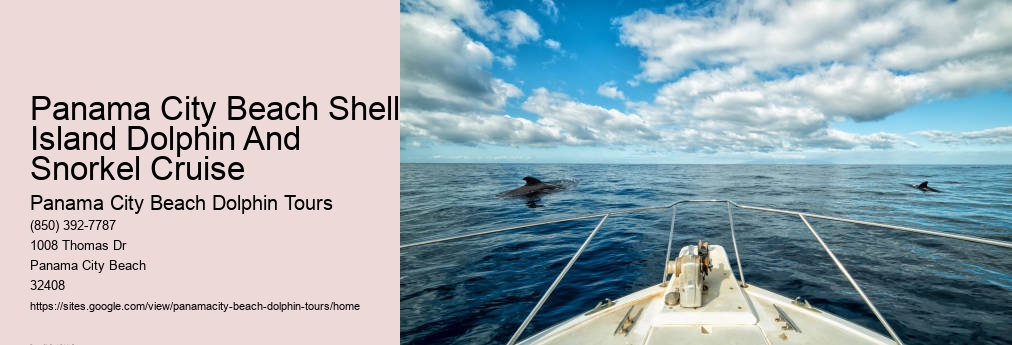 Swim With Dolphins Cruise