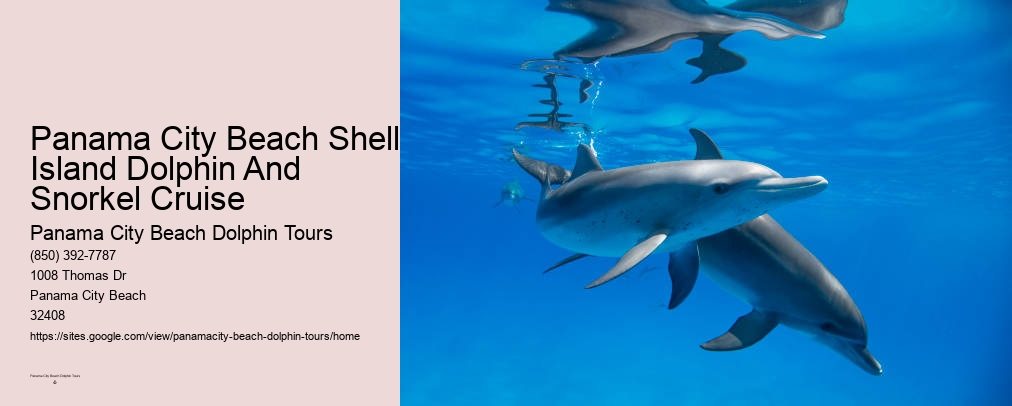 Dolphins Panama City Beach