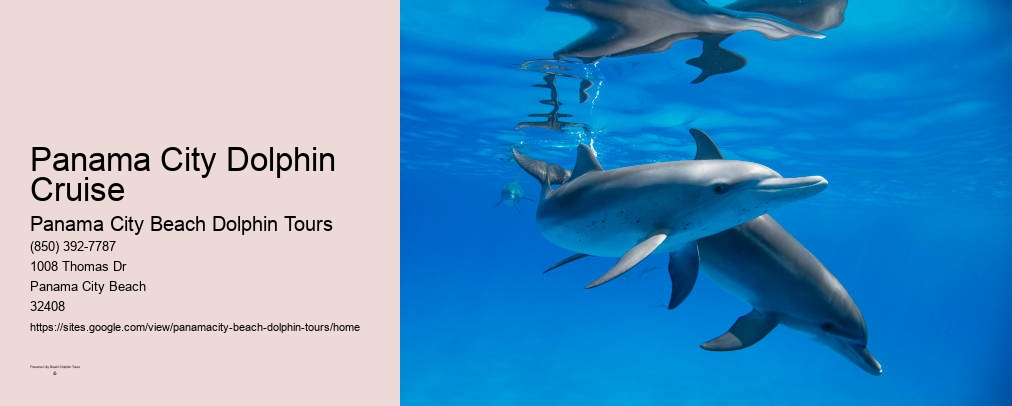 Panama City Beach Dolphin Sunset Cruise