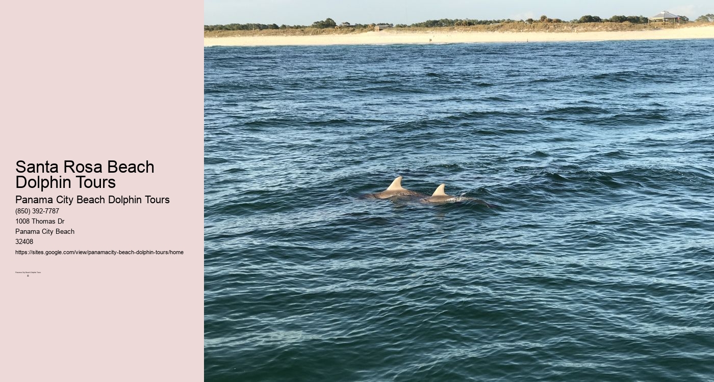 Panama City Beach Shell Island Cruise