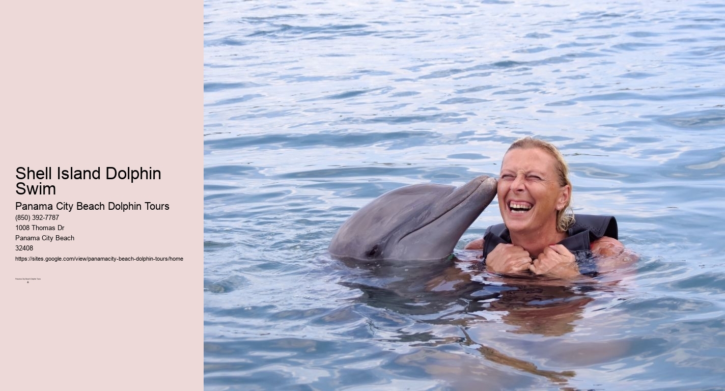 Shell Island Dolphin Swim