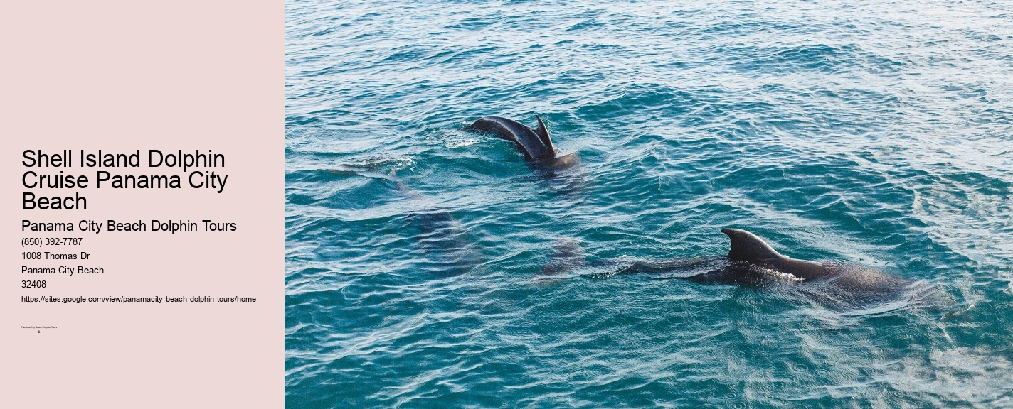 Panama City Dolphin Cruise
