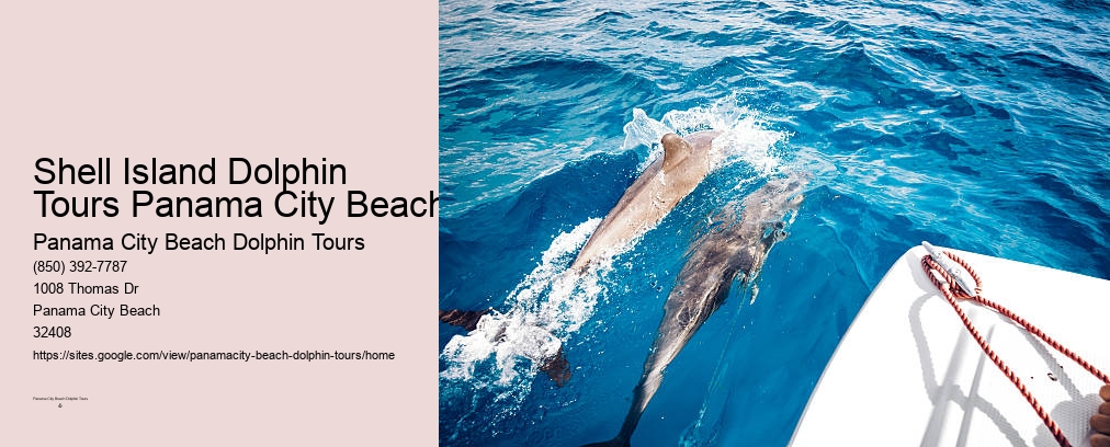 Swim With Dolphins Near Me