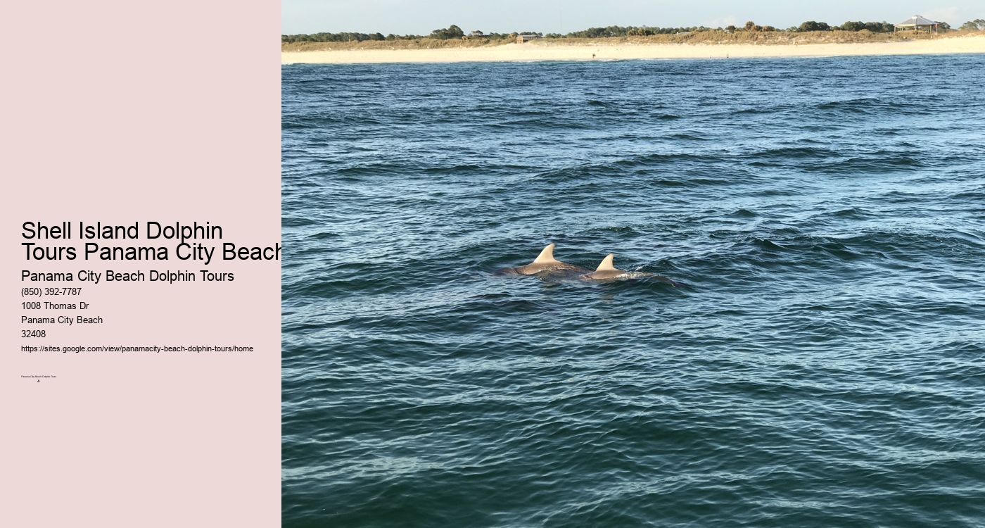 Panama City Beach Dolphin Tours