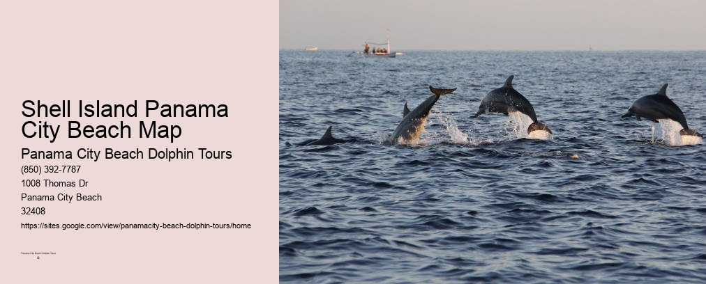 Dolphin Tours Panama City Beach