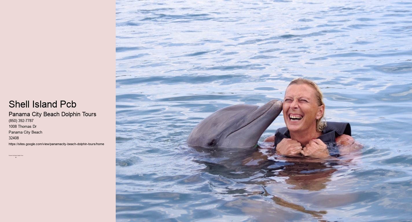 Swim With Dolphins Panama City Fl