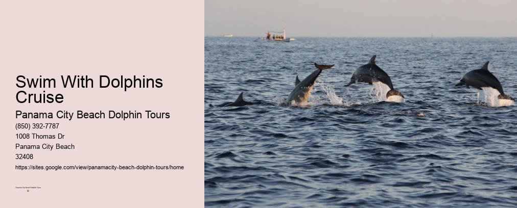 Dolphin Tours Panama City Beach Fl