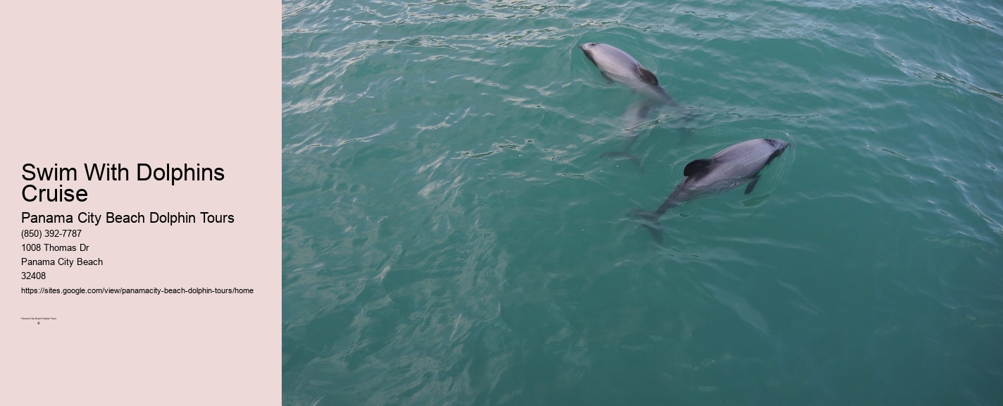 Panama City Dolphin Cruise
