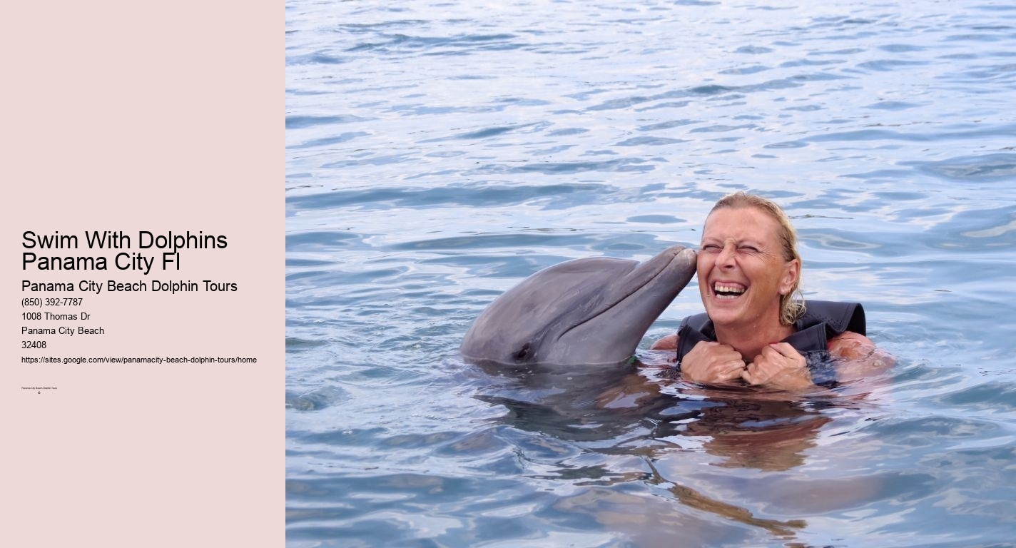 Swim With Dolphins Panama City Fl