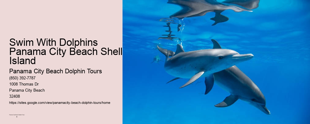 Panama City Beach Florida Dolphin Tours